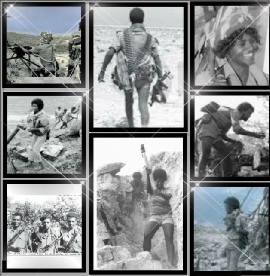 Eritrean Veterans – please unite