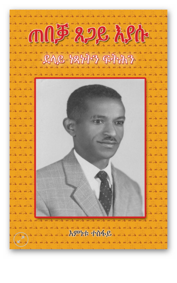 Biography of Advocate Tseggay Iyassu