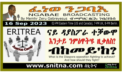 Ngabae Radio Diaspora Opposition Seminar Frame
