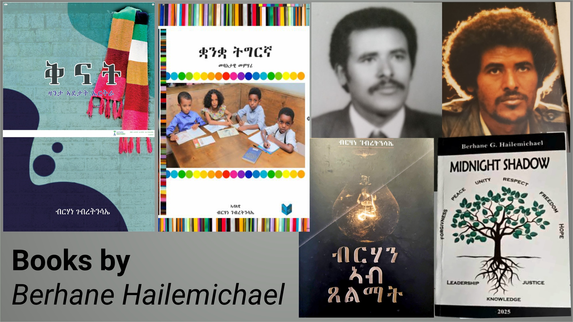 Books authored by Mr Berhane Hailemichael